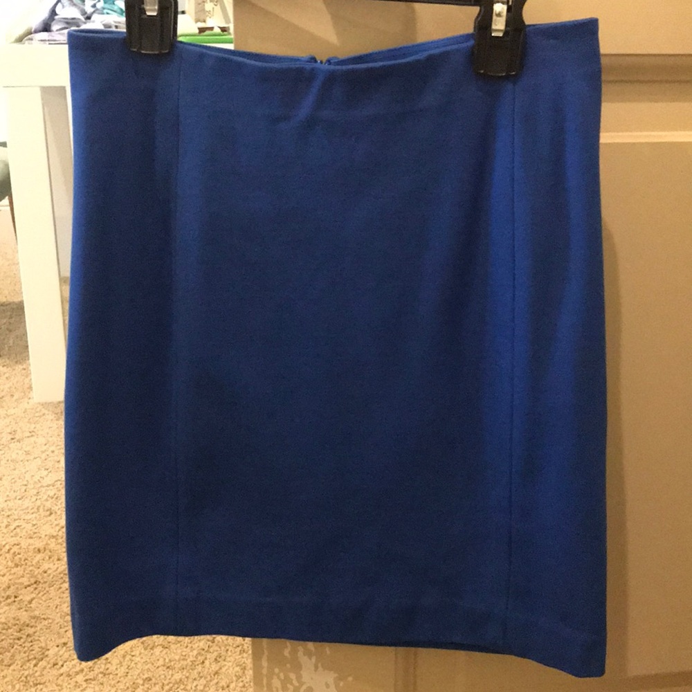 Ann Taylor skirt